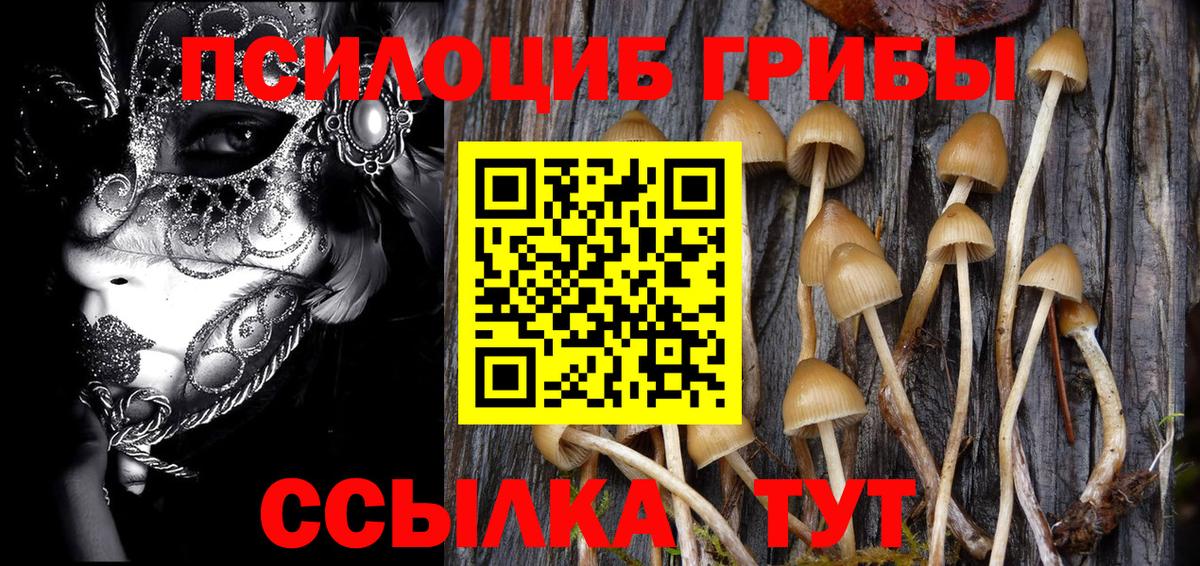 Галлюциногенные грибы прущие грибы Киров