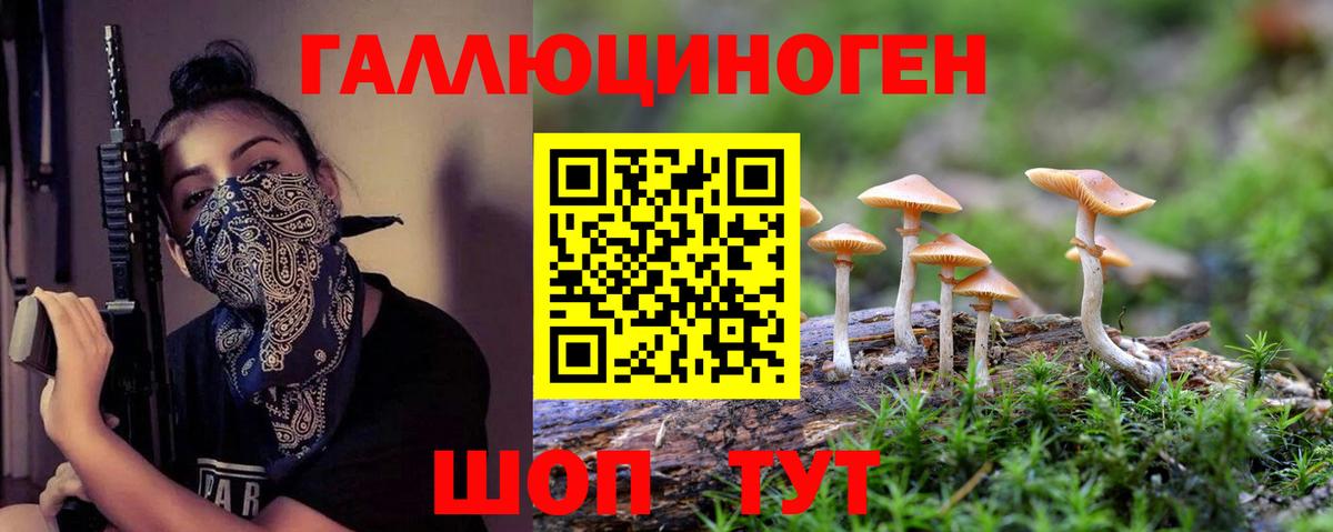 Киров  Галлюциногенные грибы Magic Shrooms  наркошоп  Вход с VPN 
